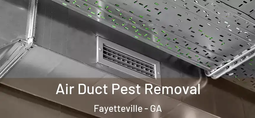  Air Duct Pest Removal Fayetteville - GA