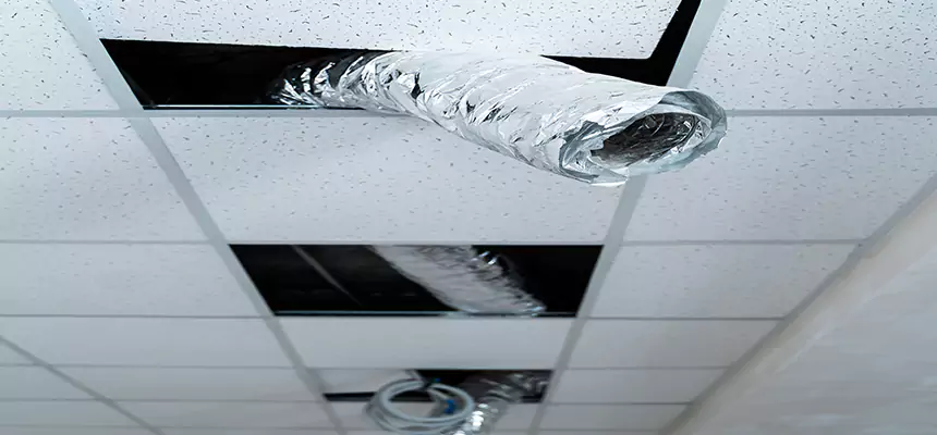 Our Air Duct Pet Hair Removal Services in Fayetteville, GA