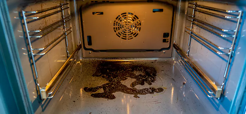 Our Dryer Vent Mold Cleaning Services in Fayetteville, GA