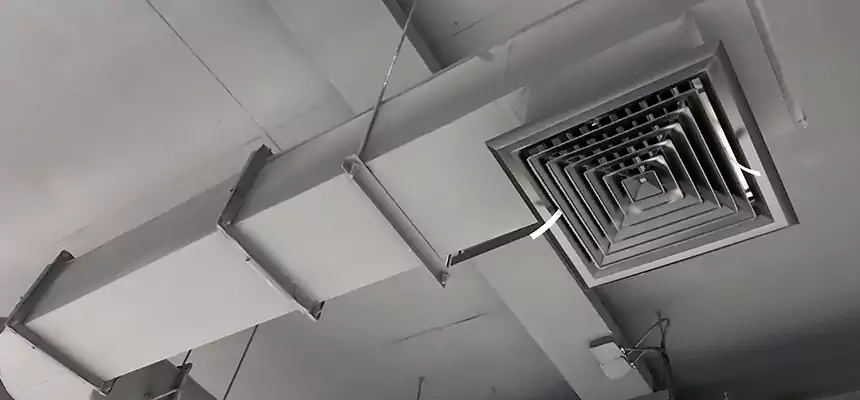 Our Pest Removal From Ducts Services in Fayetteville, GA