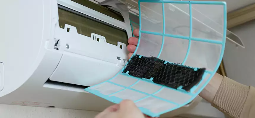 Gentle Ductwork Odor-Control Pet Dander Duct Cleaning in Fayetteville, GA