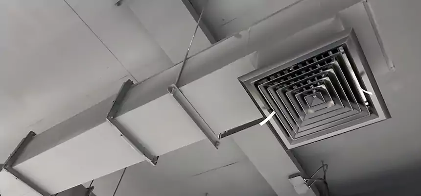 Our Rodent Droppings In Vents Services in Fayetteville, GA