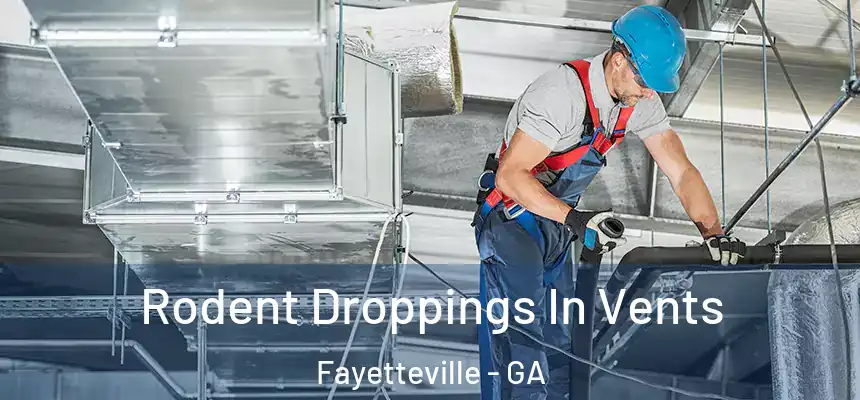  Rodent Droppings In Vents Fayetteville - GA