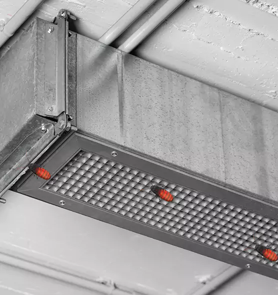About Air Duct Cockroach Removal in Fayetteville, GA