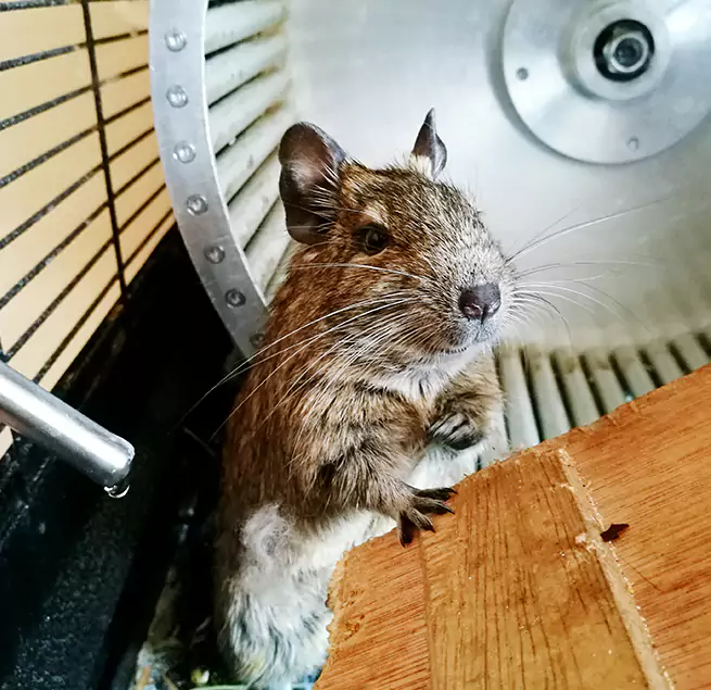 Why Homeowners & Businesses Trust Us Fayetteville, GA