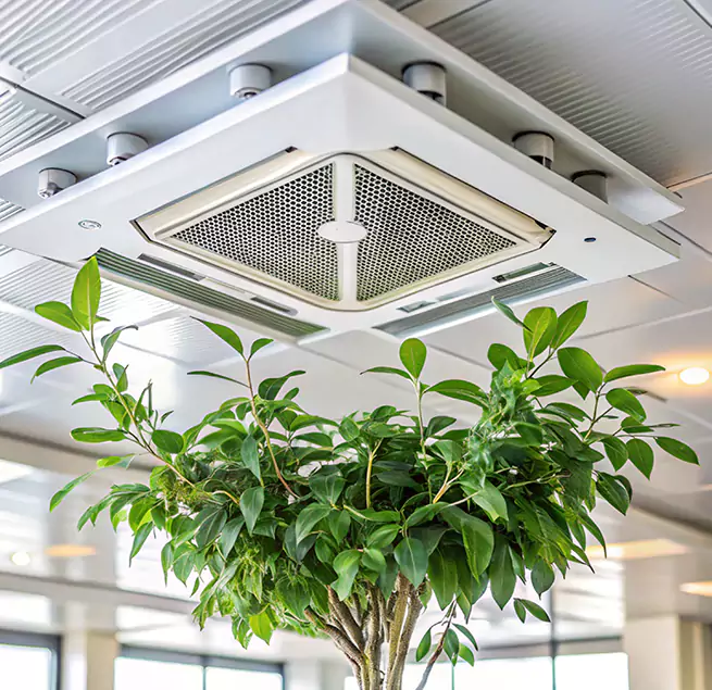 Why Homeowners & Businesses Trust Us in Fayetteville, GA?