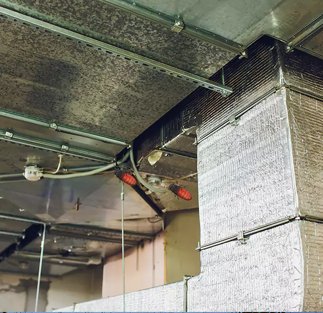 Why Homeowners & Businesses Trust Us Fayetteville, GA?