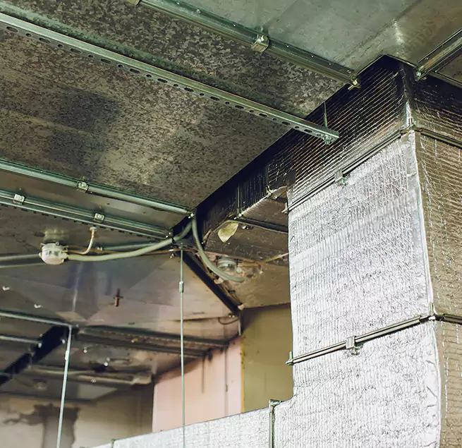 Why Homeowners & Businesses Trust Us in Fayetteville, GA?